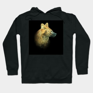 Asian wild dog-Dhole Hoodie